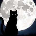 Black Cat Silhouette Full Moon Night
