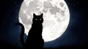 Black Cat Silhouette Full Moon Night