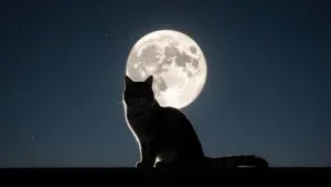 Cat Silhouette Against Moonlit Sky