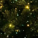 Christmas Tree Sparkling with Lights