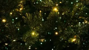 Christmas Tree Sparkling with Lights