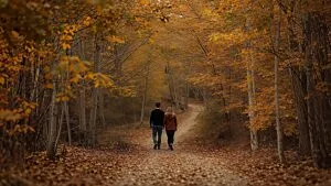 Couple Walking Through Autumn Forest Path