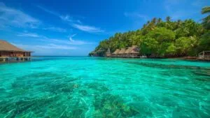 Crystal Waters of a Caribbean Cove