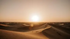 Desert Sand Dunes Sunset Horizon Warm Light Texture