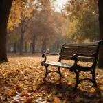 Empty Bench in Park Autumn Leaves