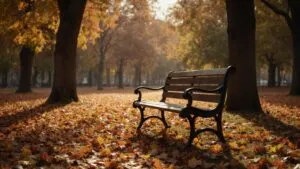 Empty Bench in Park Autumn Leaves