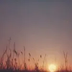 Fading Memories at Sunset