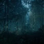 Magical Forest Enchanted Glowing Trees