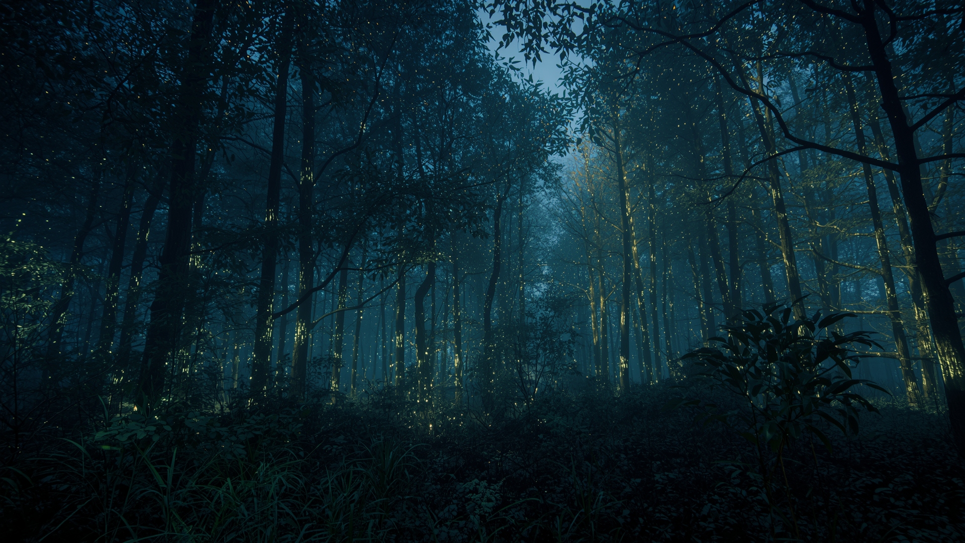 magical forest enchanted glowing trees wallpaper, fantasy, enchanted, ethereal, forest, glowing, magical, nature, trees, desktop, mobile, background