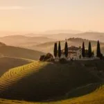 Rolling Hills Tuscany Farmhouse Cypress Trees