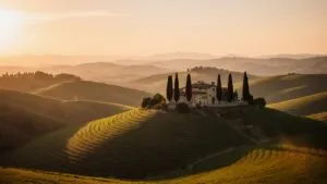 Rolling Hills Tuscany Farmhouse Cypress Trees