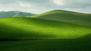 Rolling Hills Vibrant Green Spring Scenery