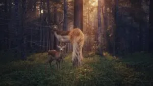 Serene Forest Deer Grazing at Dawn