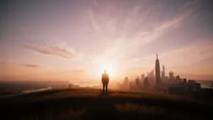 Single Figure Back View Open Field Sunset