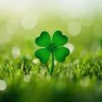 St. Patrick’s Clover Field Green Bokeh