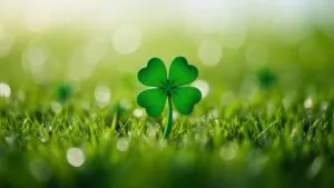 St. Patrick’s Clover Field Green Bokeh