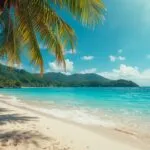 Summer Tropical Beach Vacation Sunny Day