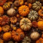 Thanksgiving Harvest Table Setting with Pumpkins