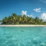 Tropical Beach Palm Trees Clear Water