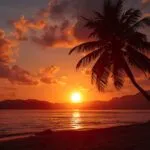 Tropical Beach Sunrise Palm Tree Silhouette