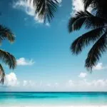 Tropical Beach Turquoise Water Palm Trees Silhouette