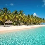 Tropical Beach Turquoise Water Palm Trees