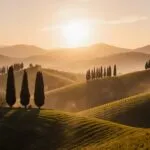Tuscany Rolling Hills Cypress Trees Sunrise Landscape