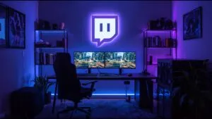 Twitch Streamer Room Dual Monitor Setup