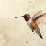 Watercolor Style Hummingbird in Flight