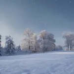 White Christmas Dream in Countryside